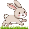 Bunny Rabbit